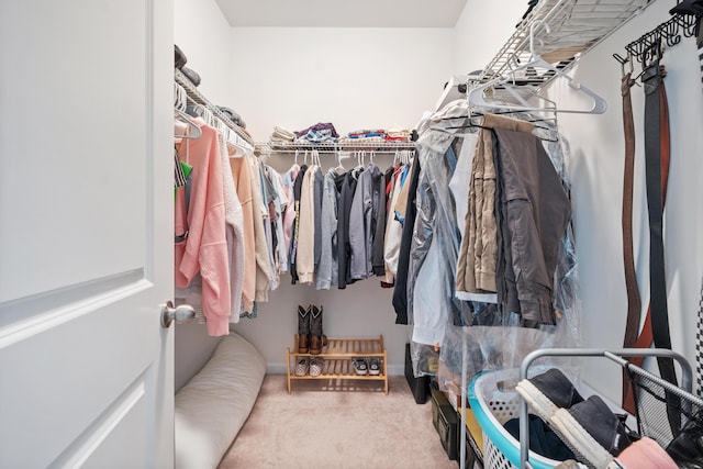 walk in closet featuring carpet flooring