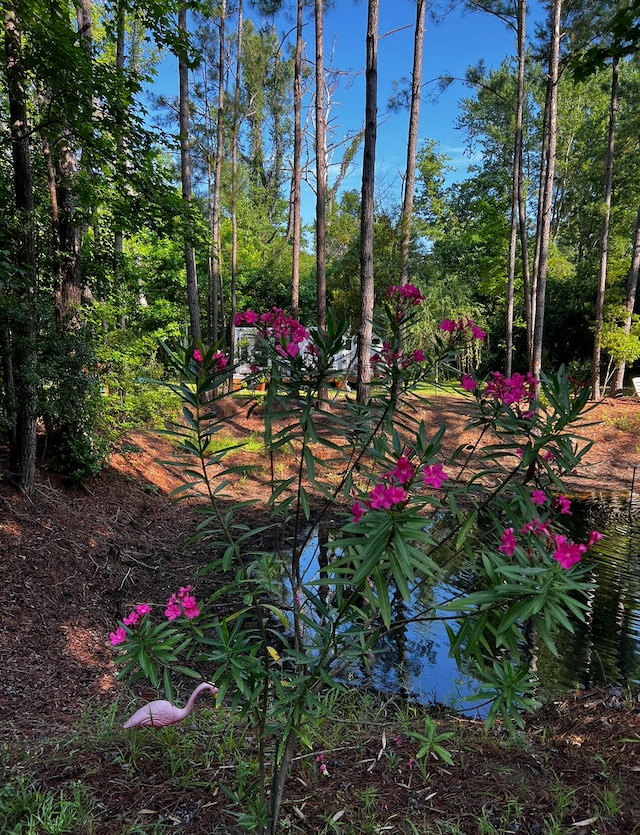 7810 Turtle Hill Ln, Edisto Island SC, 29438 land for sale