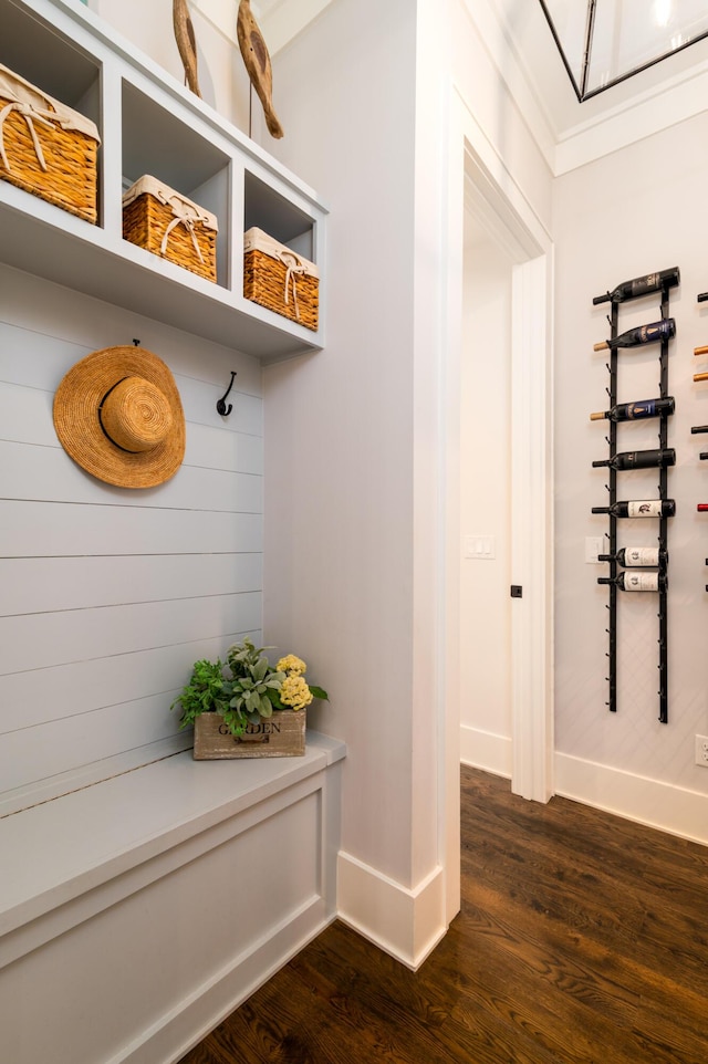 mudroom with baseboards and dark wood-type flooring