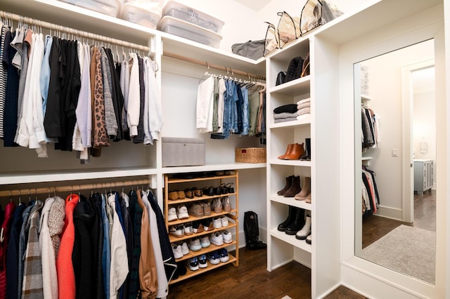 walk in closet with dark wood finished floors