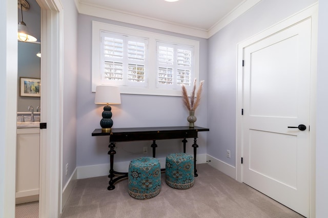 office space with ornamental molding, light carpet, a sink, and baseboards