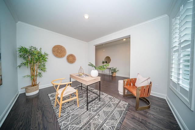 office featuring crown molding and dark hardwood / wood-style flooring