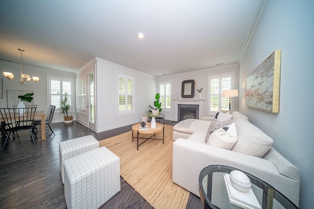 living room with crown molding, a wealth of natural light, a notable chandelier, and dark hardwood / wood-style floors