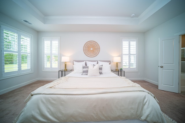 bedroom featuring carpet, a tray ceiling, and multiple windows