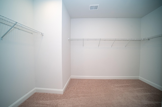 walk in closet with carpet floors