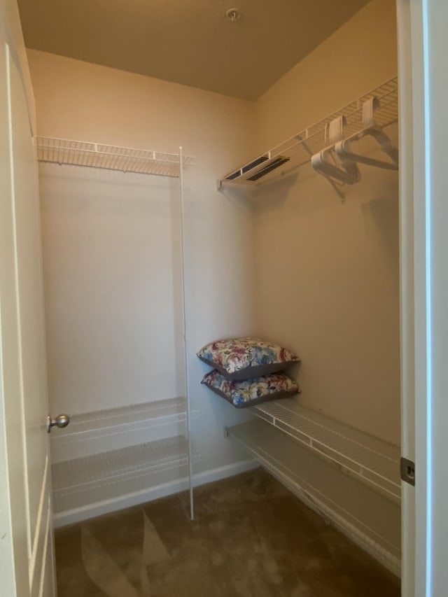 view of walk in closet