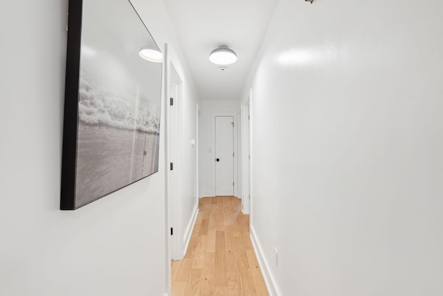 521 Carpenter St, Charleston, SC 29412 - hall with light wood finished floors and baseboards