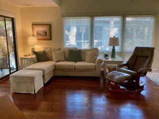 living room featuring dark hardwood / wood-style floors