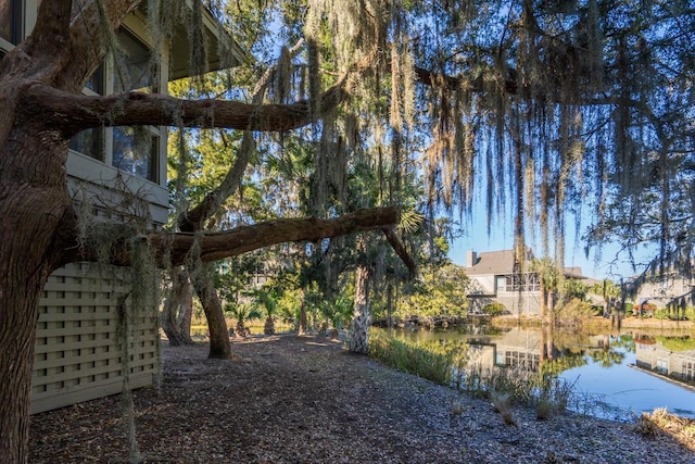 view of yard with a water view