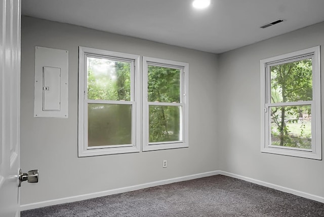 5056 Piedmont Ave, North Charleston, SC 29406 - spare room with electric panel, plenty of natural light, and carpet