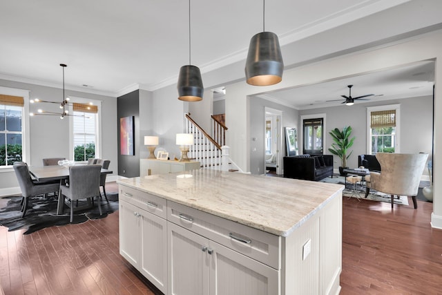 kitchen featuring dark wood-style flooring, crown molding, and open floor plan