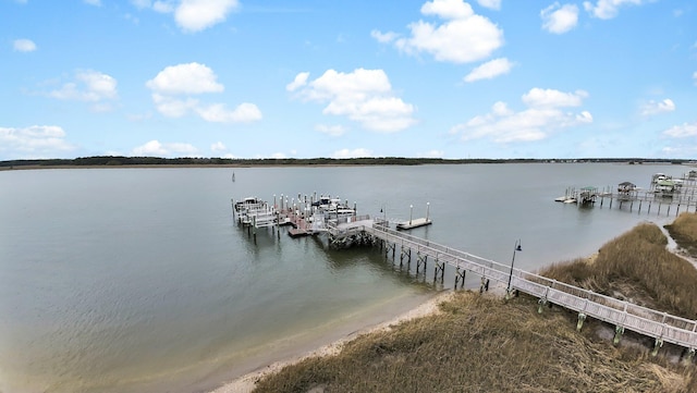 dock area with a water view