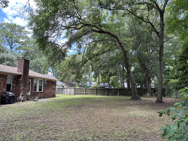 view of yard