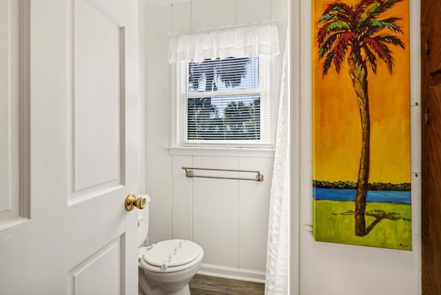 bathroom with wood-type flooring and toilet