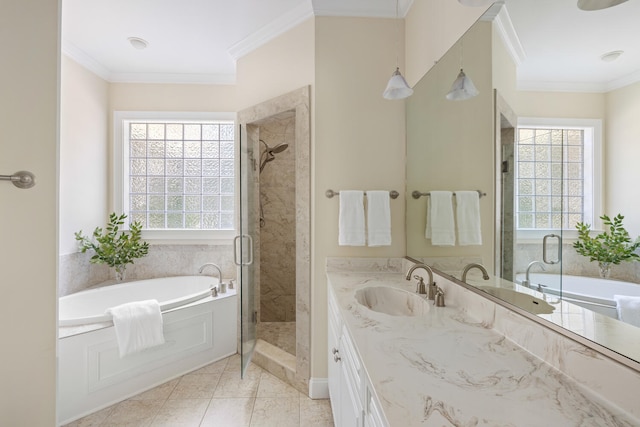 full bathroom featuring a sink, crown molding, a shower stall, and a wealth of natural light