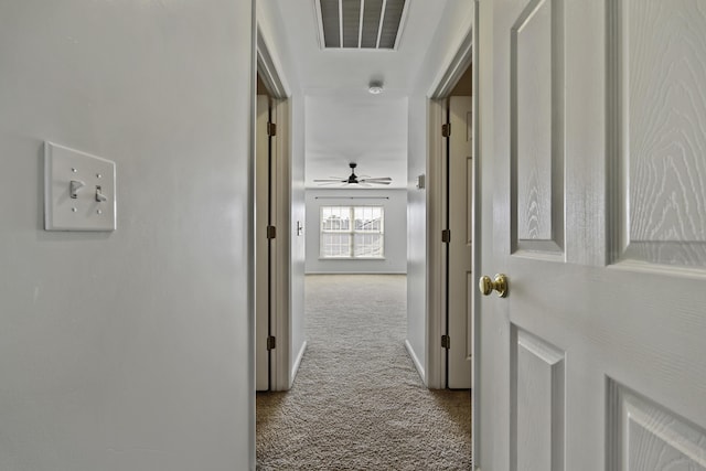 hallway featuring carpet floors