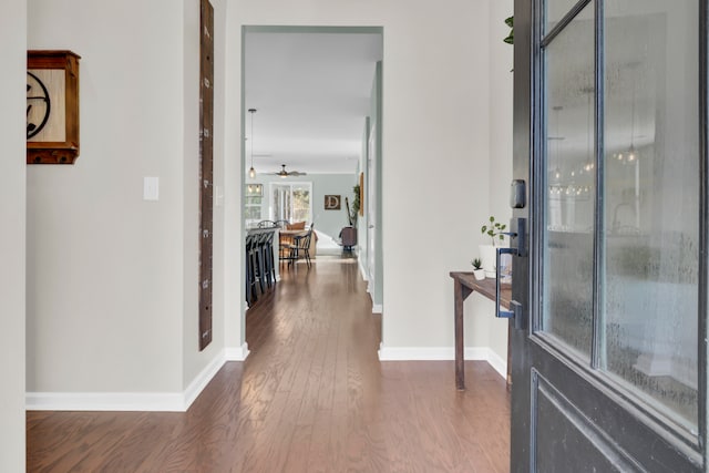 entryway with ceiling fan and hardwood / wood-style flooring