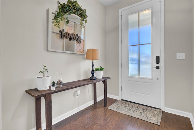 foyer with dark wood-type flooring