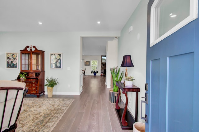 entryway featuring hardwood / wood-style floors