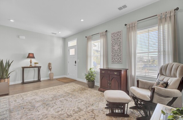 living room featuring hardwood / wood-style flooring