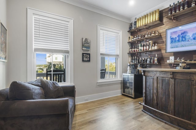 bar featuring baseboards, a healthy amount of sunlight, light wood finished floors, and a dry bar