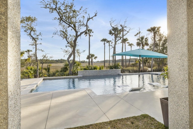 view of pool featuring a patio area and a fenced in pool