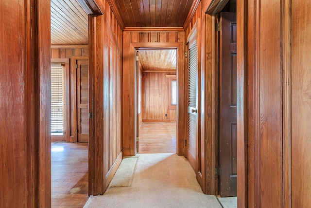 hall with wooden ceiling, ornamental molding, light wood-type flooring, and wood walls
