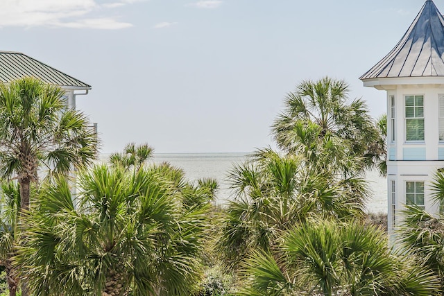 water view