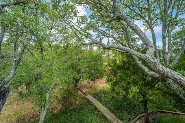 5847 Back Bay Dr, Isle Of Palms, SC 29451 - view of yard