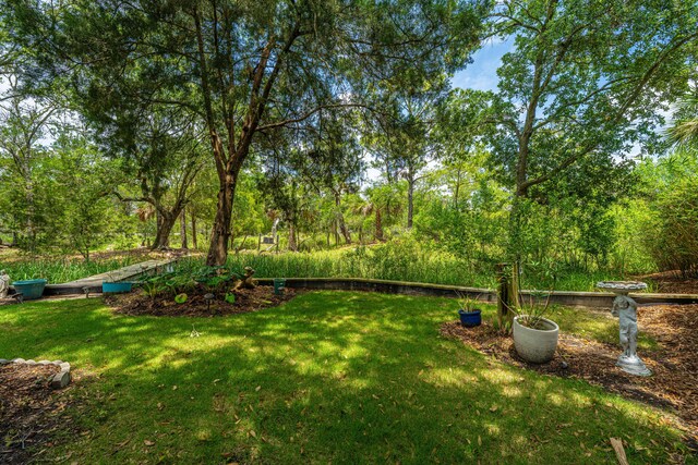 5847 Back Bay Dr, Isle Of Palms, SC 29451 - view of green lawn