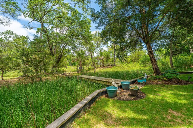 5847 Back Bay Dr, Isle Of Palms, SC 29451 - view of yard