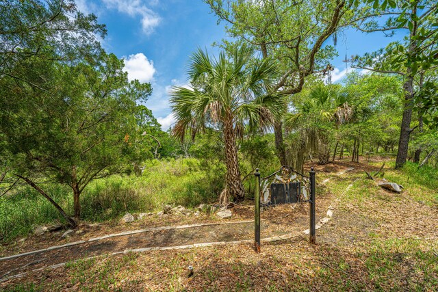 5847 Back Bay Dr, Isle Of Palms, SC 29451 - view of yard