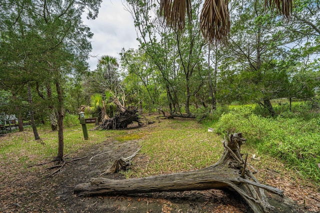 5847 Back Bay Dr, Isle Of Palms, SC 29451 - view of yard