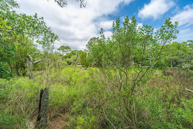 5847 Back Bay Dr, Isle Of Palms, SC 29451 - view of tree filled area