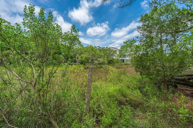 5847 Back Bay Dr, Isle Of Palms, SC 29451 - view of yard