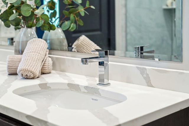 bathroom view of vanity