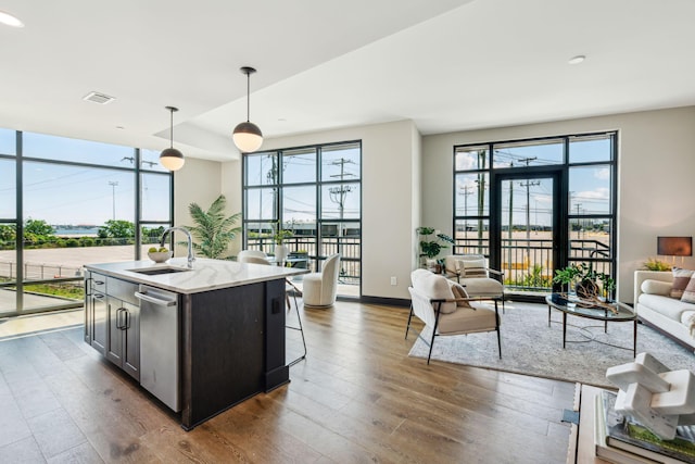 kitchen featuring a sink, open floor plan, plenty of natural light, and dark wood-type flooring