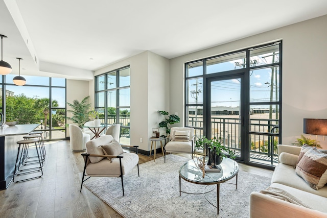 living room with healthy amount of natural light and wood finished floors