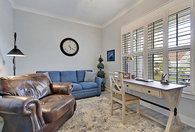 office with ornamental molding and hardwood / wood-style floors