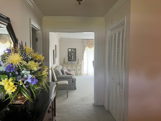 corridor with ornamental molding, carpet flooring, and a healthy amount of sunlight