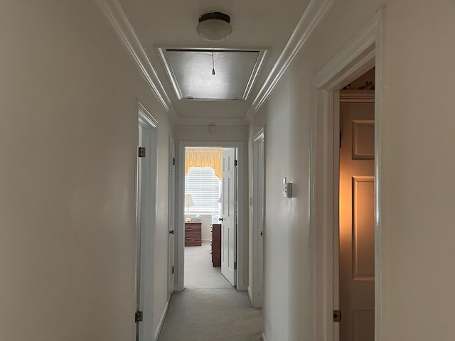 corridor featuring ornamental molding and light colored carpet