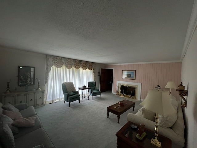 carpeted living room featuring a textured ceiling and crown molding