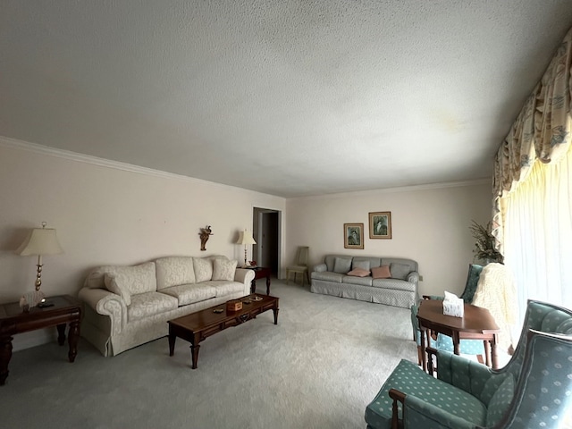 carpeted living room with a textured ceiling and ornamental molding