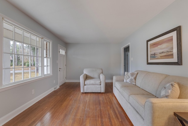 living room featuring wood-type flooring