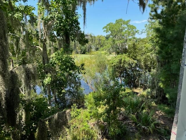 view of nature featuring a water view