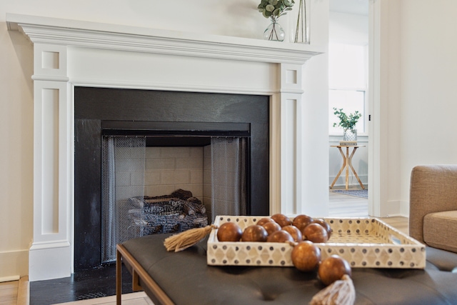 room details with wood-type flooring and a fireplace