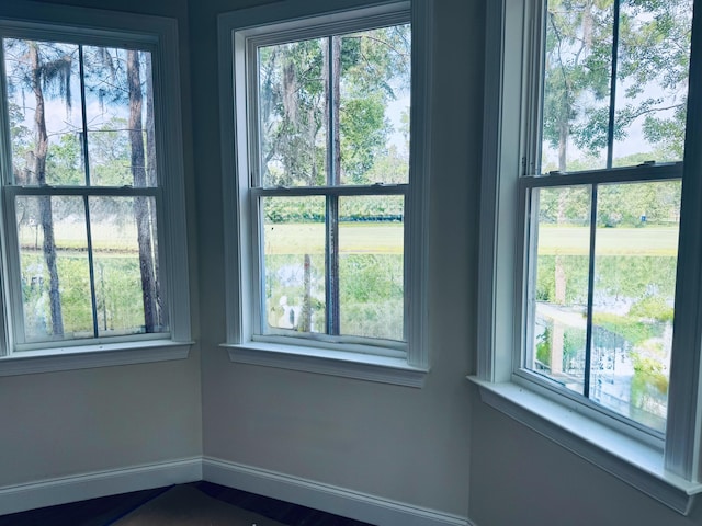 420 Carolina Cherry Ct Unit 102, Charleston, SC 29414 - detailed view of baseboards