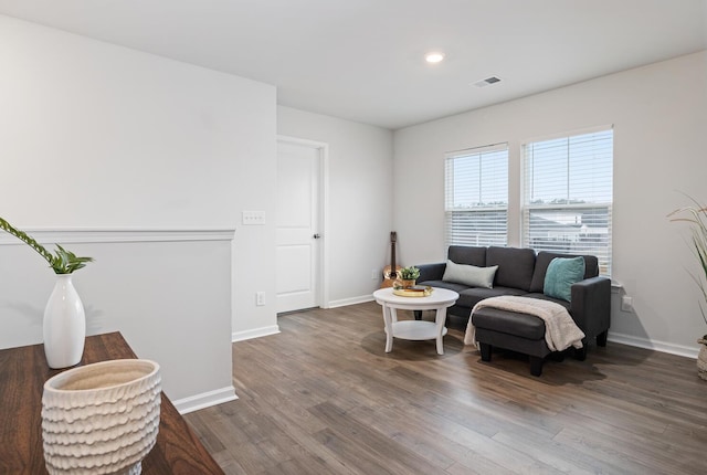 living room with wood-type flooring