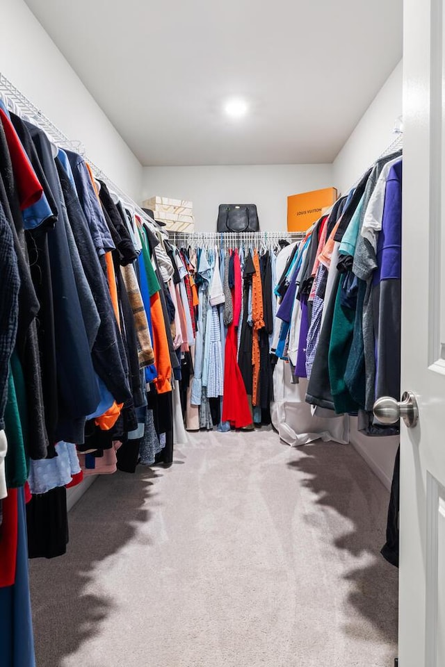 spacious closet featuring carpet floors