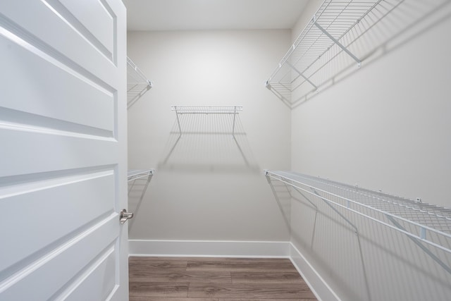 walk in closet with wood finished floors